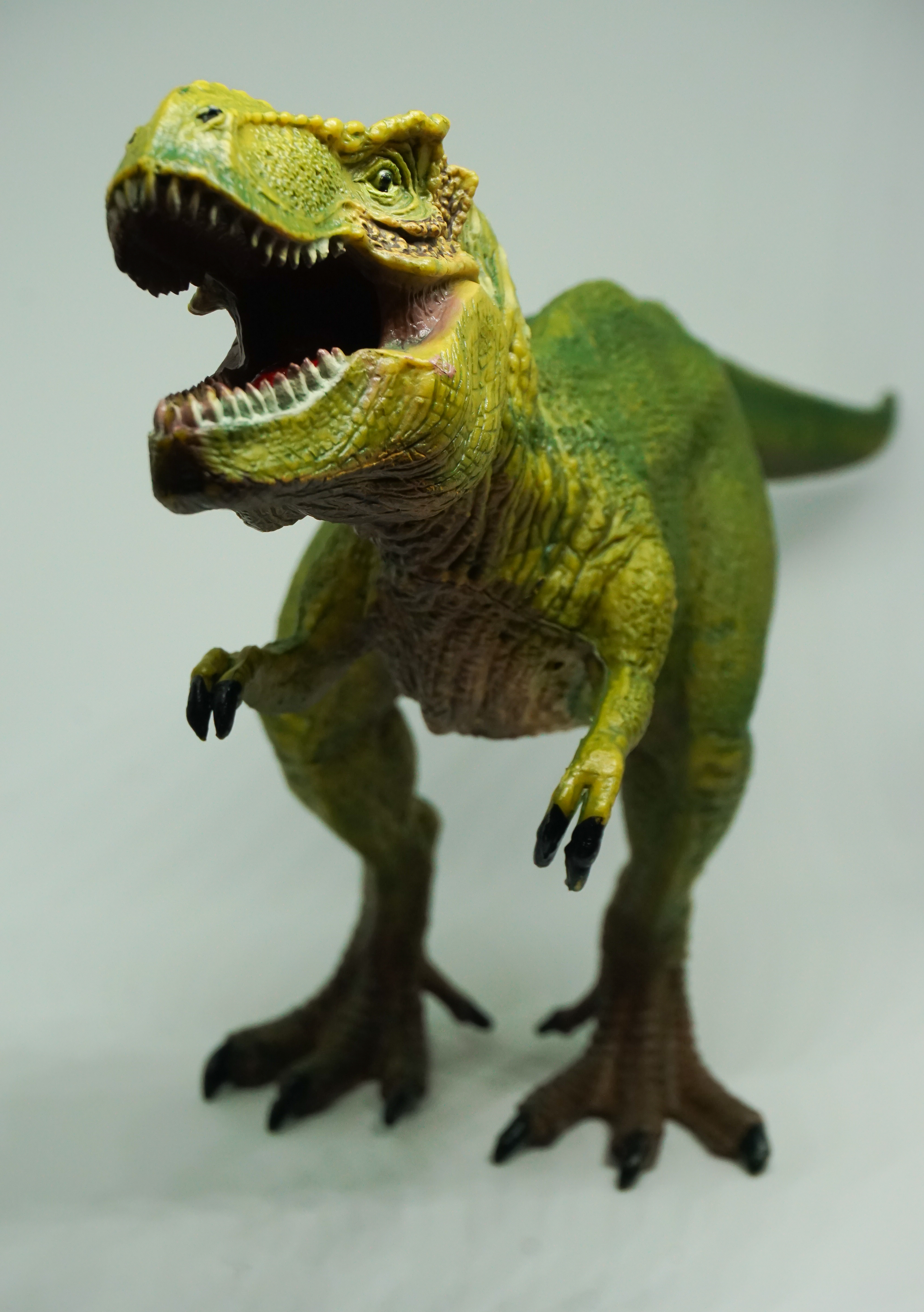 Toy tyrannosaurus rex showing teeth.