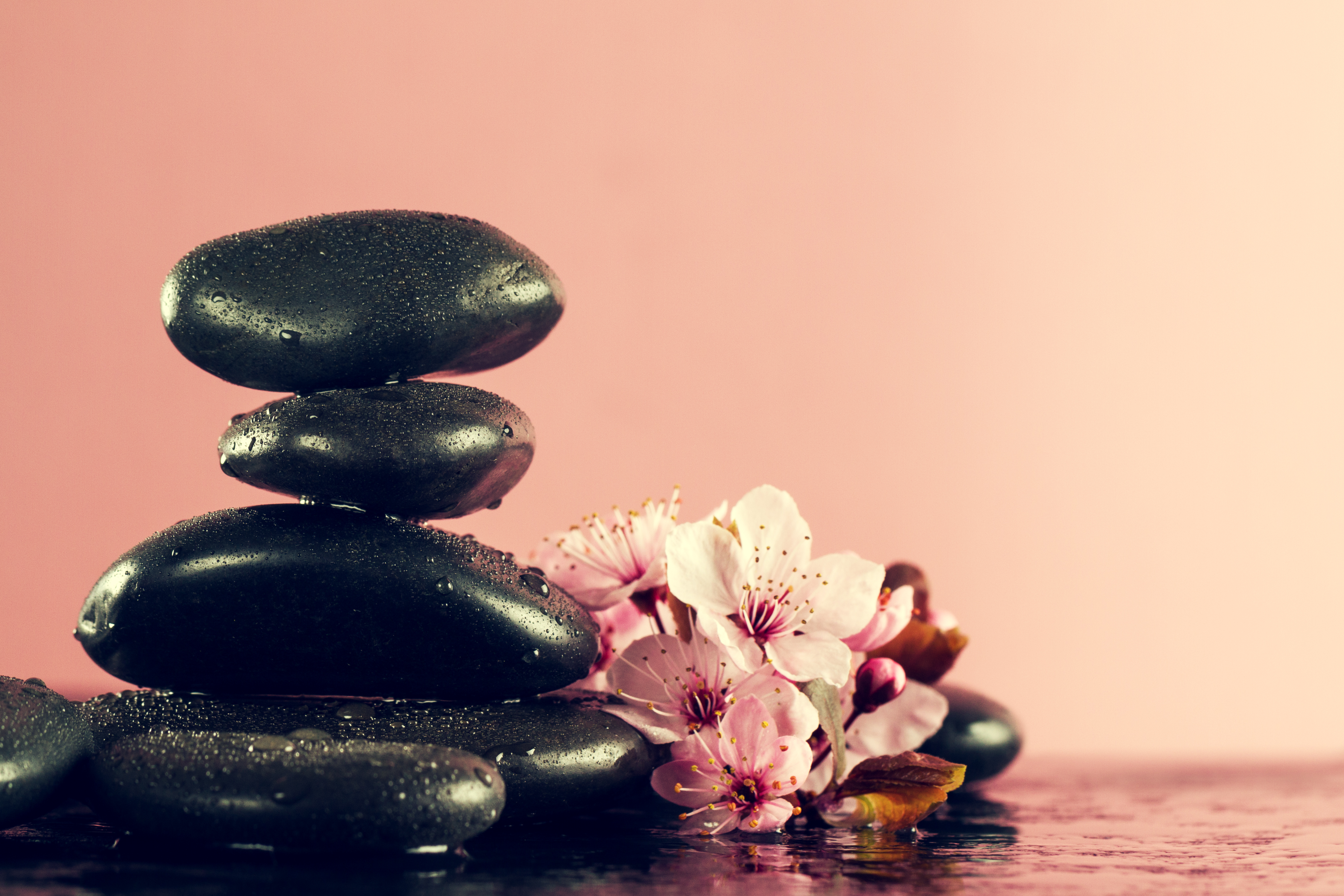 Black stones stacked with flower blossoms on a pink background.