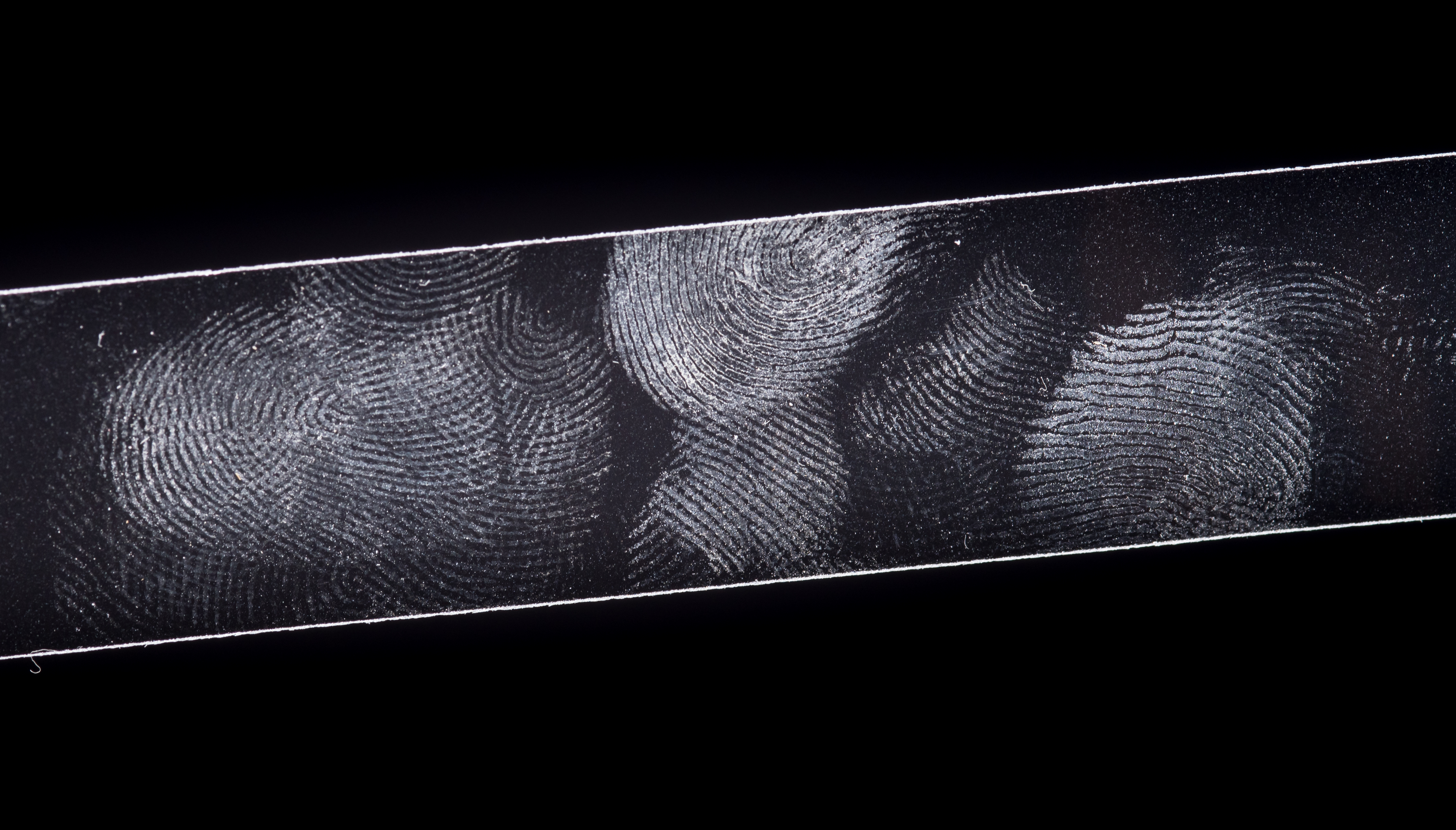 Fingerprints on a glass slide with a black background.