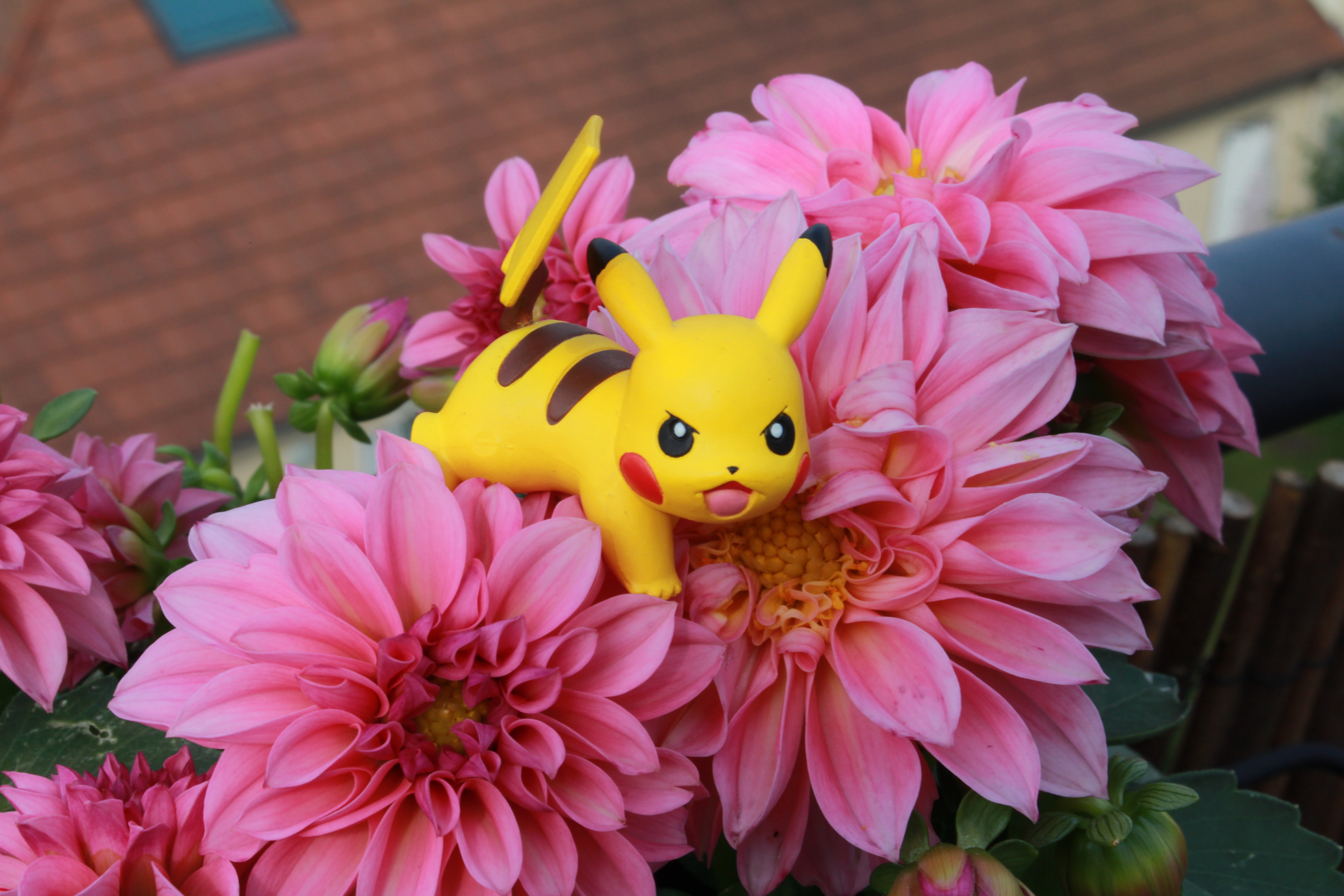 Pink flowers with pikachu on them.