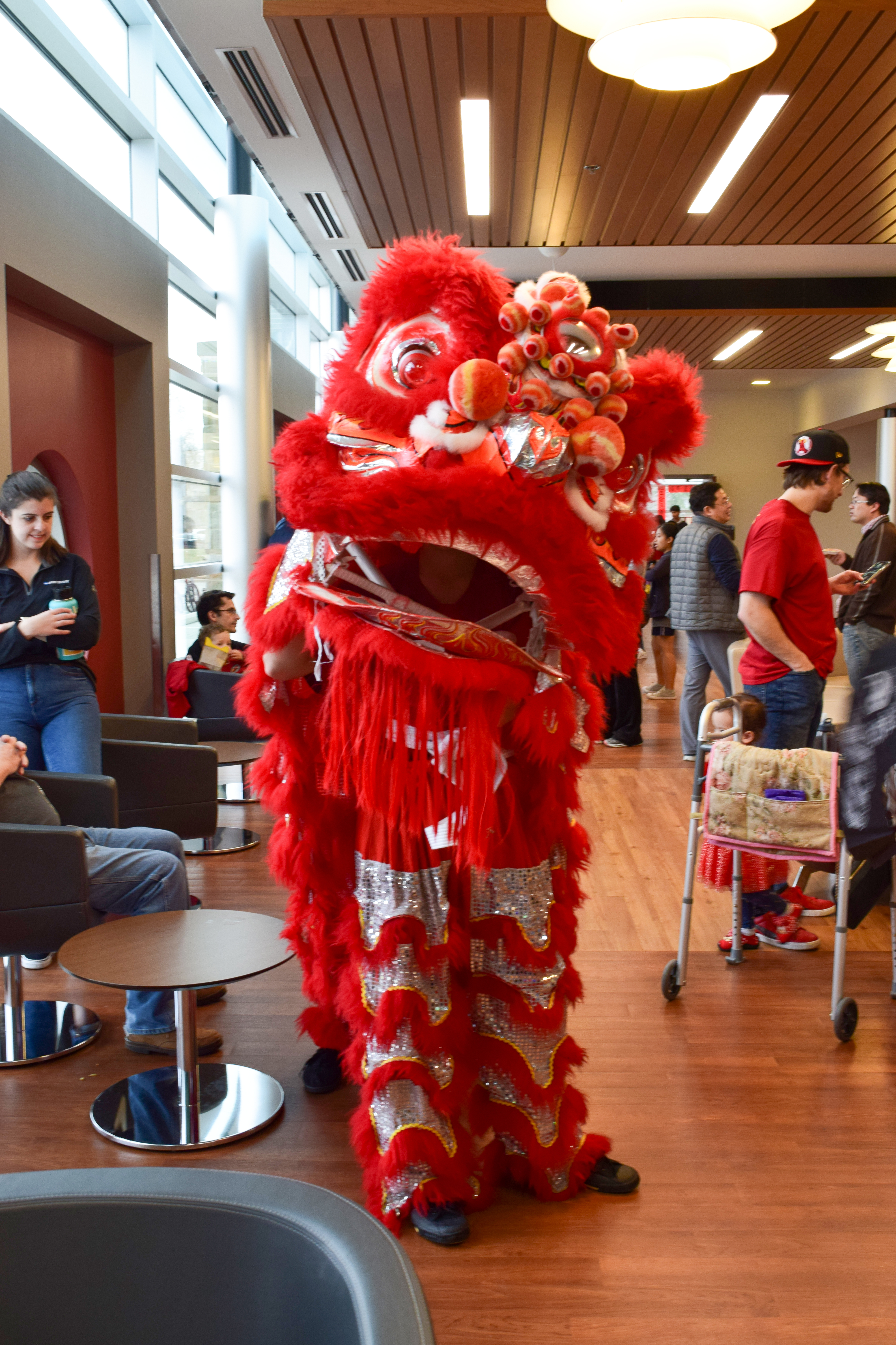Chinese dragon puppet in the library lobby from Chinese New Year 2019.