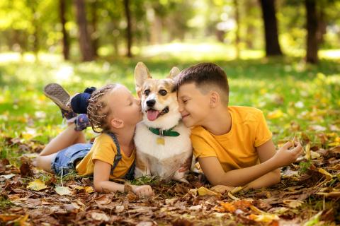 Two children with corgi dog outside