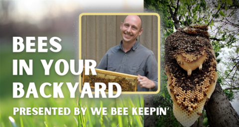 An image with the text "Bees in Your Backyard presented by We Bee Keepin" on the left.  A picture of the presenter is in the center.  A picture of a wild honeybee hive in a tree is on the right.