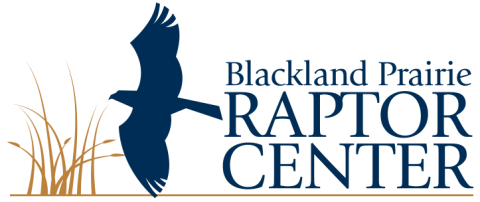 Blackland Prairie Raptor Center logo