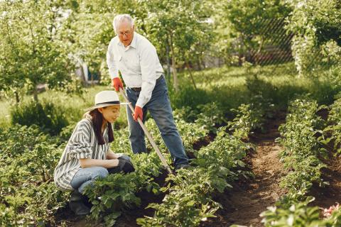 Man in hat gardening with his granddaughter