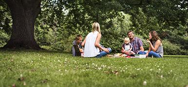 Family having a picnic on green grass.