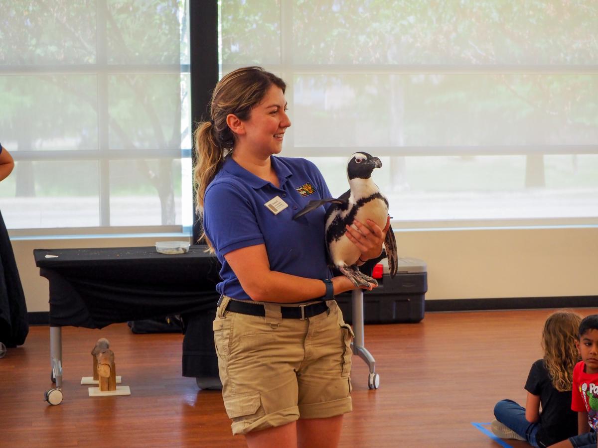 A zookeeper holding a penguin.