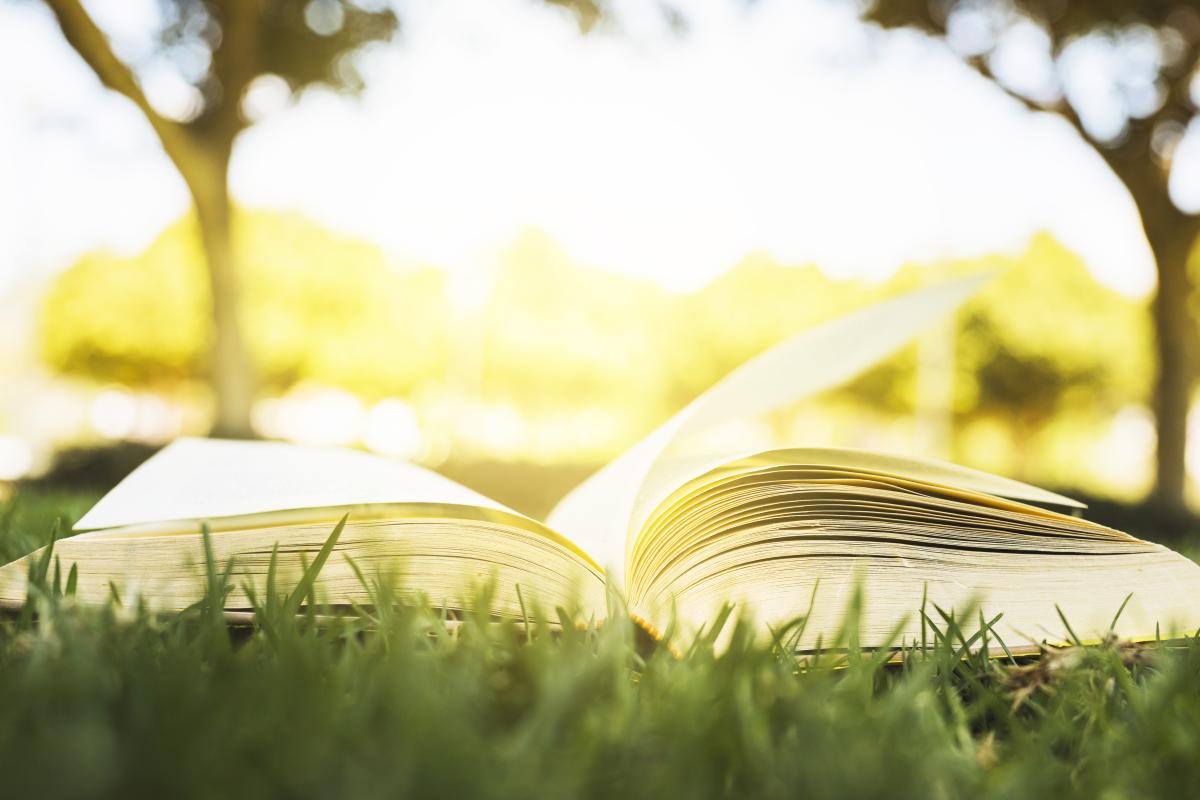 Open book on grass with sunshine.