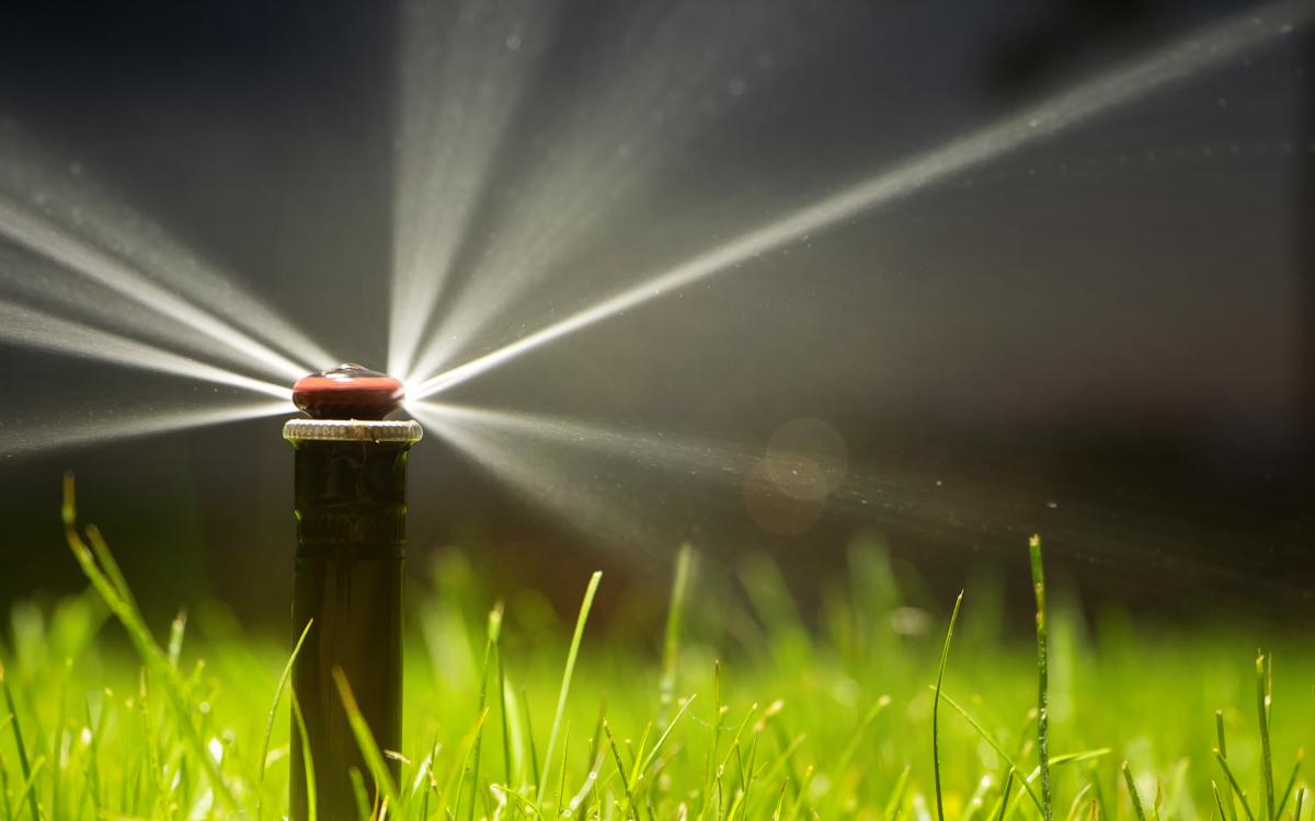 A sprinkler head spraying water on grass