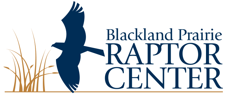 Blackland Prairie Raptor Center logo