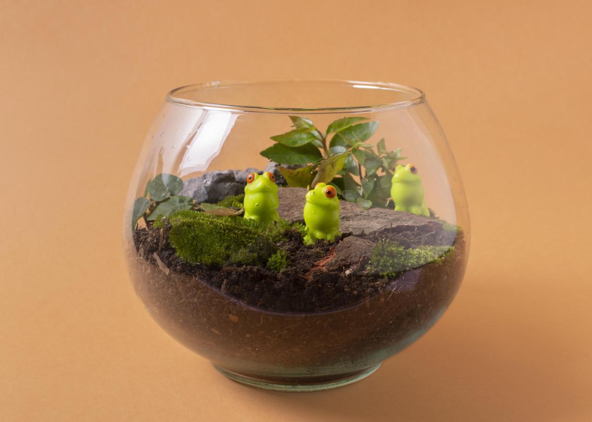 Terrarium with plants and dirt on a brown background.