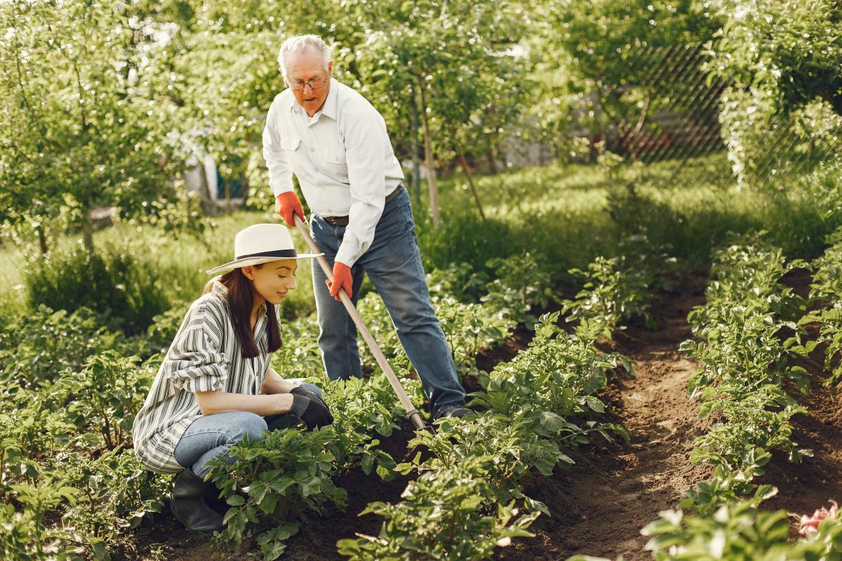 Man in hat gardening with his granddaughter